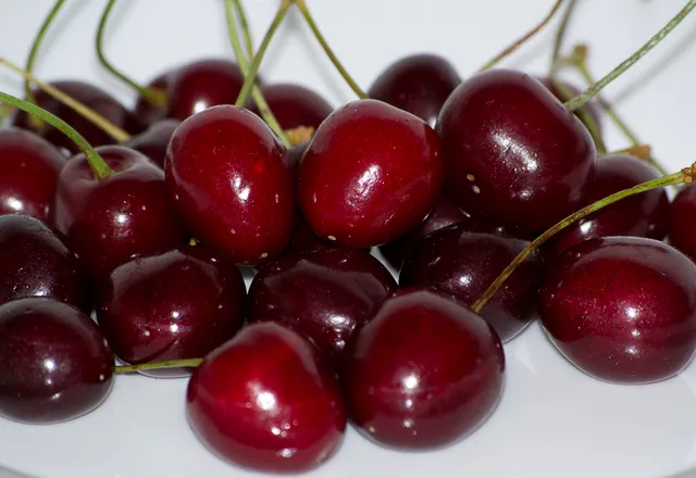 Cerejas maduras e brilhantes, com pé, num prato